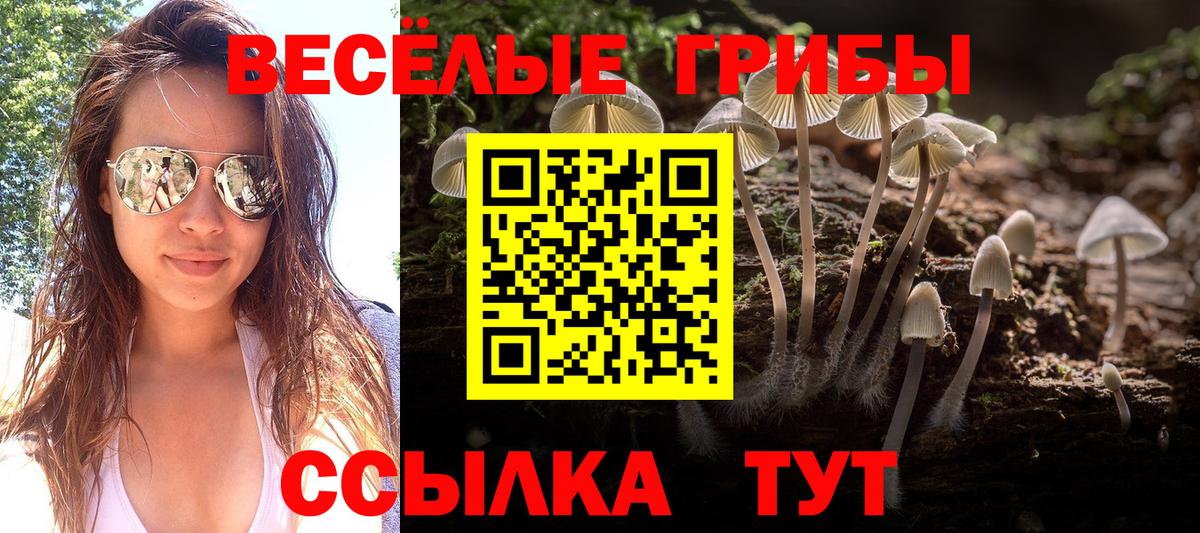 Псилоцибиновые грибы ЛСД Сызрань